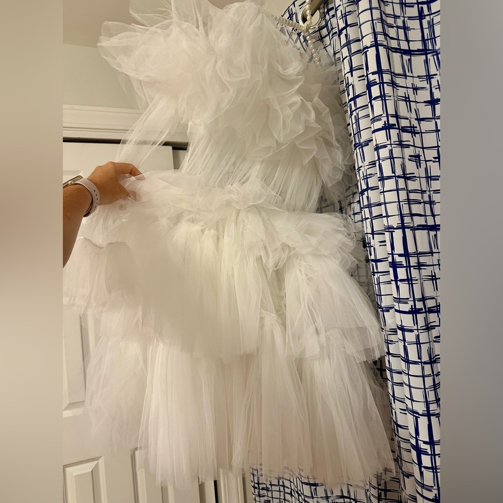 Kikiriki Ruffle Tulle Crew Neck Mini
Dress NWT sz Small - Picture 7 of 10